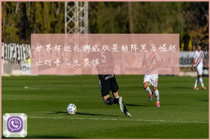 世界杯巡礼挪威双星助阵黑马崛起让对手心生畏惧